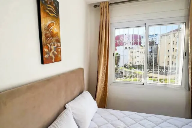 Studio Meublé de 44 m² à Vendre – Place Mozart, Centre-Ville
